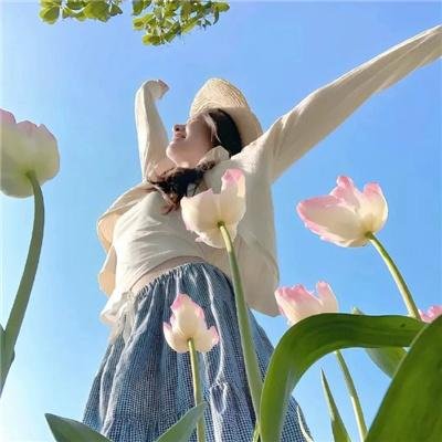 花满楼之松漠虎符