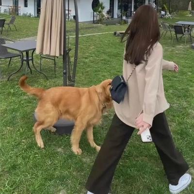 莱斯莉·琼斯：时间机器